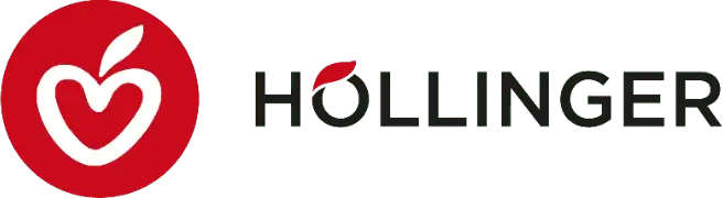 B2B HÃ¶llinger