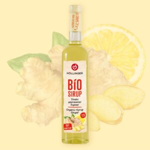Bio Ingwer Sirup 500 ml