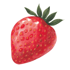 Fruchtige Erdbeere â€“ ohne Zucker & kÃ¼nstliche SÃ¼ÃŸstoffe, jetzt zuckerfreie GetrÃ¤nke aus dem HÃ¶llinger Onlineshop probieren!